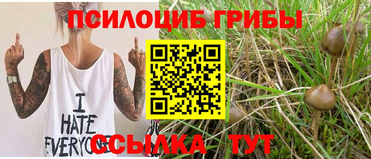 Меф Ставрополь