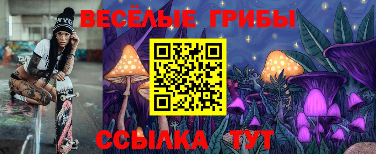 Псилоцибиновые грибы Psilocybe  Вход с VPN  Ставрополь 
