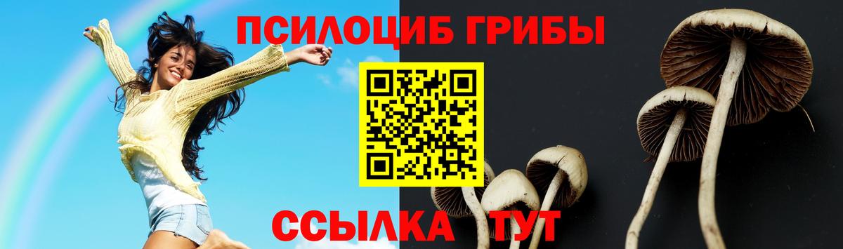 Галлюциногенные грибы Cubensis Ставрополь